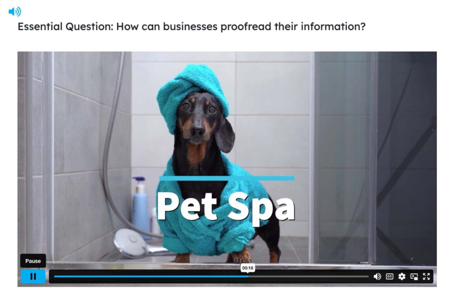 image9 1 Digital Literacy Pet Spa
