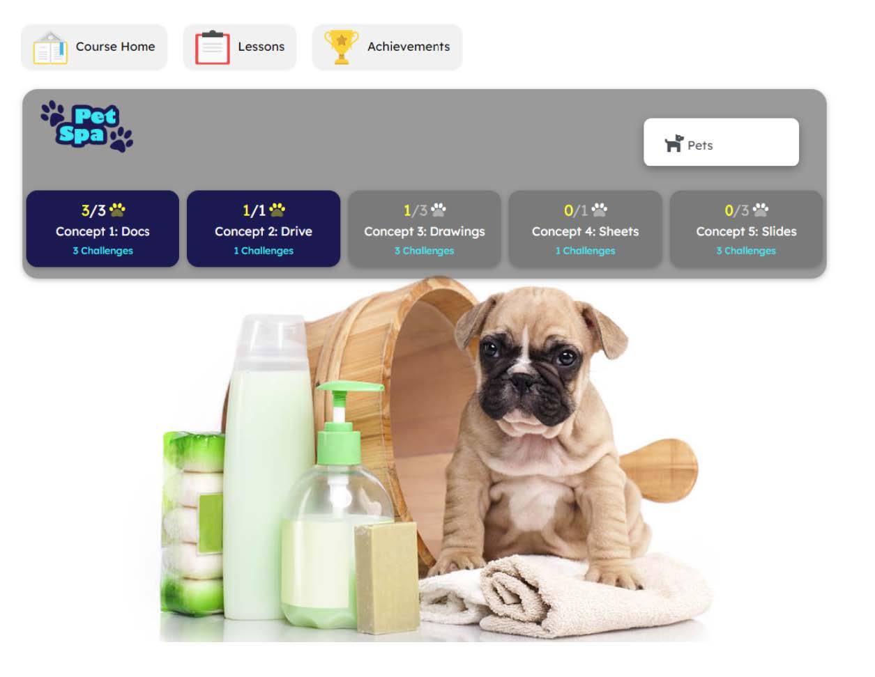 image22 1 Digital Literacy Pet Spa